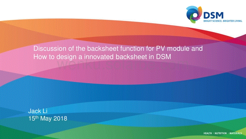 10001981_Discussion of the backsheet function for PV module and how to design a innovated backsheet in DSM