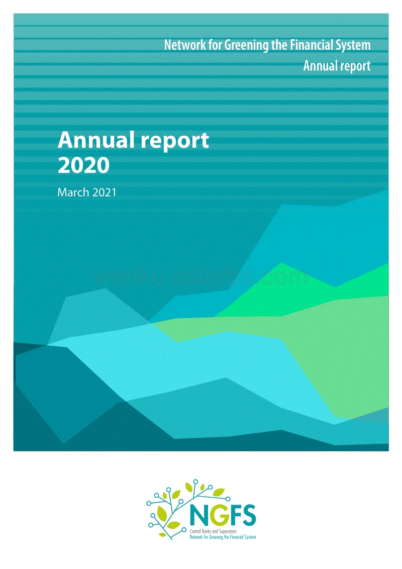 NGFS年度报告-ngfs_annual_report_2020