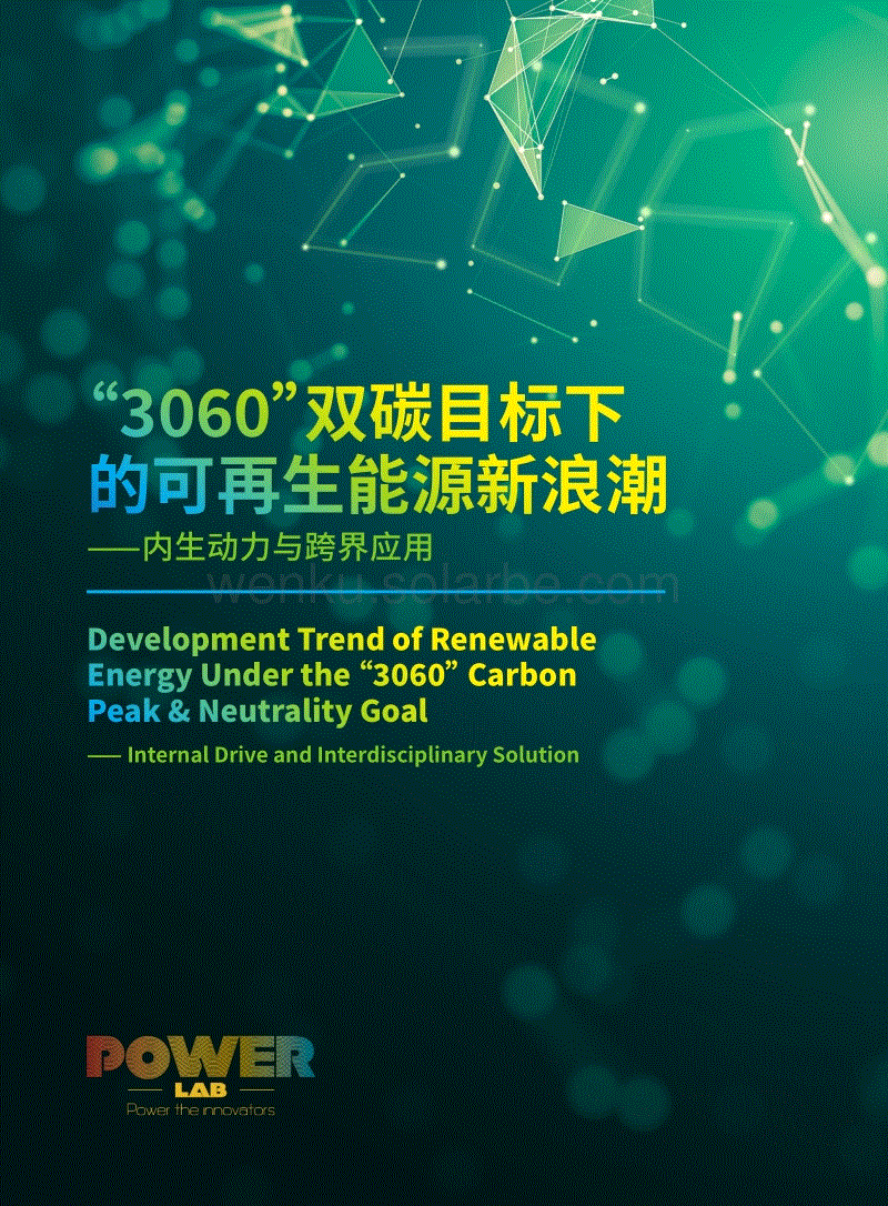 “3060”双碳目标下的可再生能源新浪潮——内生动力与跨界应用.pdf