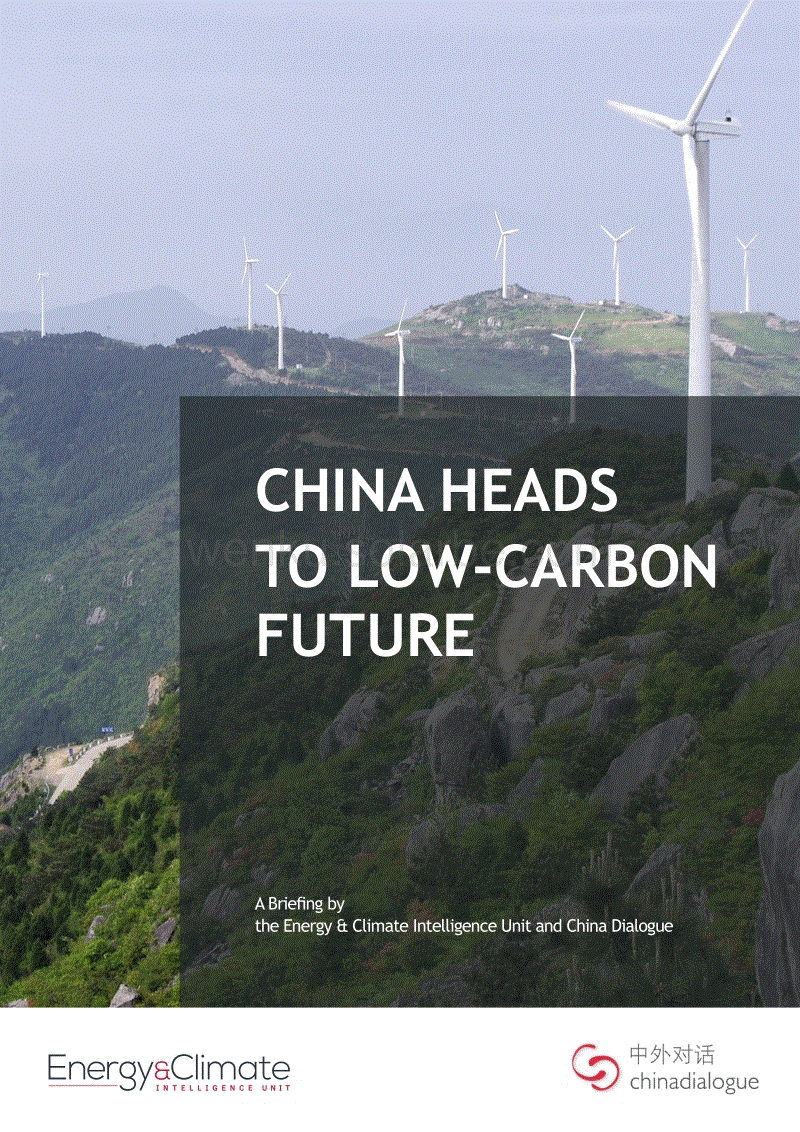 2019年  中国走向低碳未来（英文版）