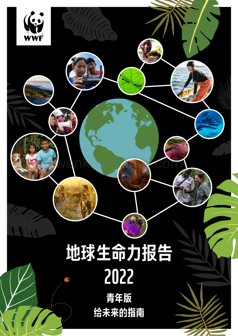 《地球生命力报告2022》青年版摘要-WWF.pdf