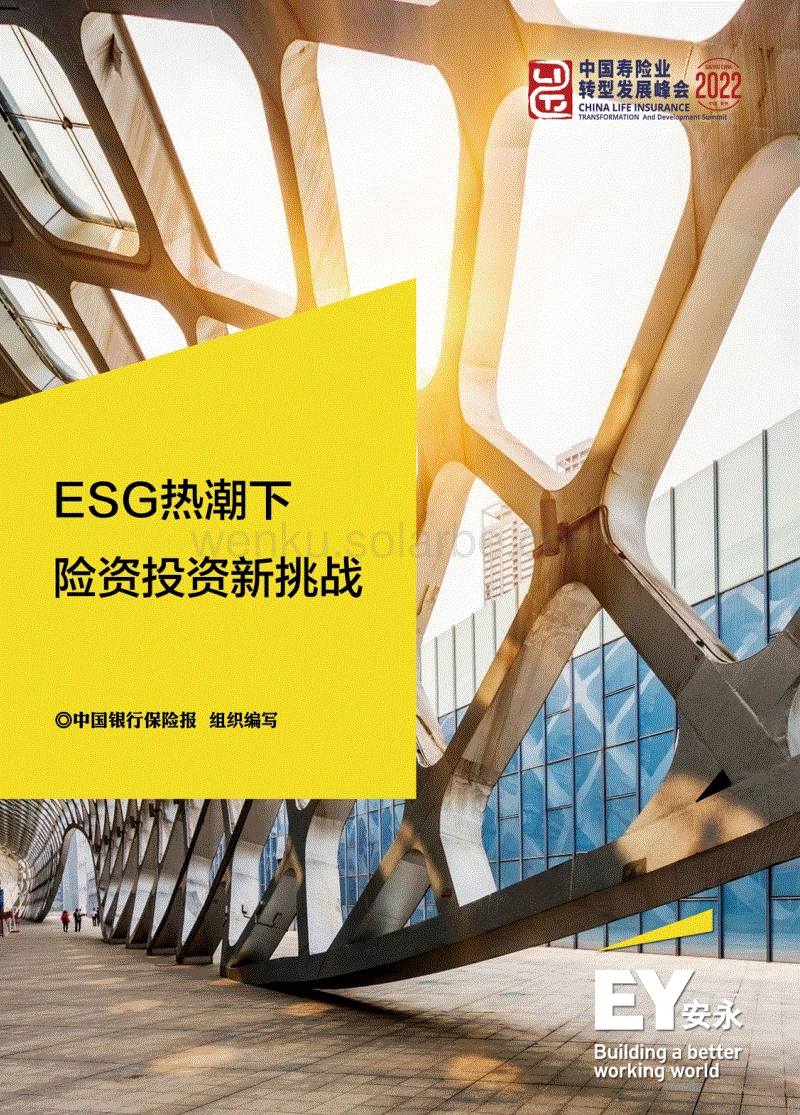 ESG热潮下险资投资新挑战-安永.pdf
