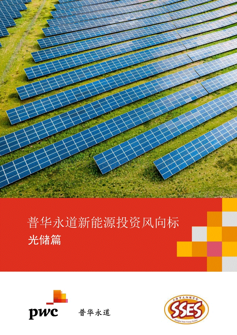 新能源投资风向标（光储篇）-普华永道.pdf