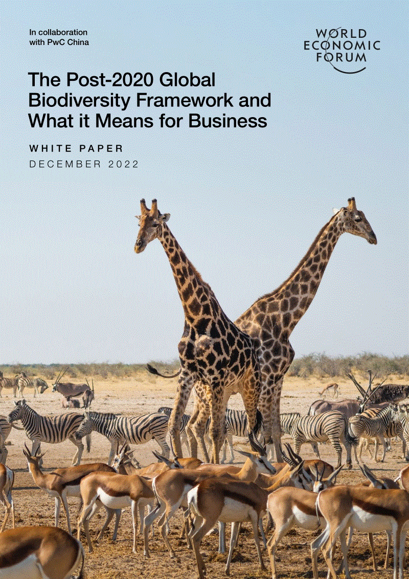 2020年后全球生物多样性框架及其对企业的意义（英）-世界经济论坛.pdf