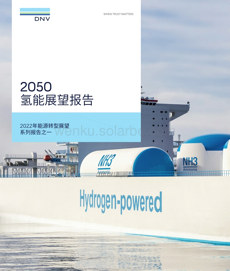2050氢能展望报告.pdf