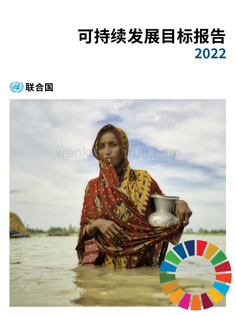 2022年可持续发展目标报告-联合国.pdf