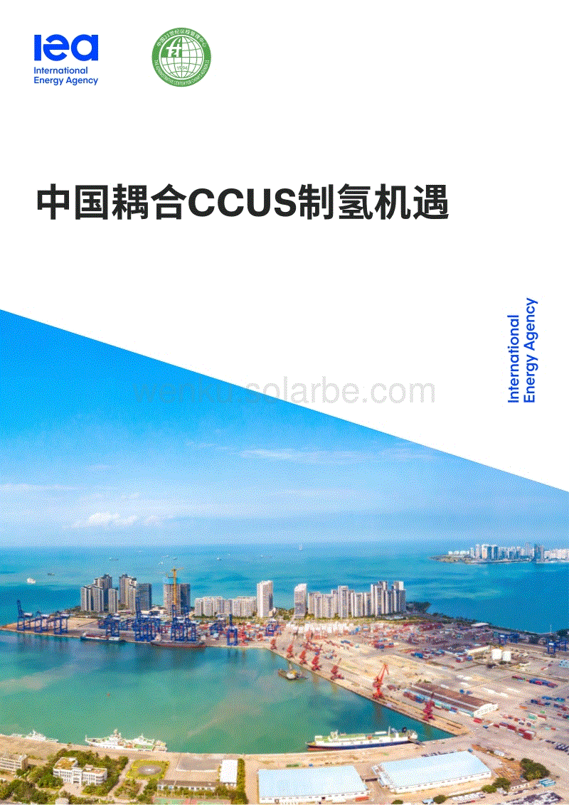中国耦合CCUS制氢机遇-IEA.pdf