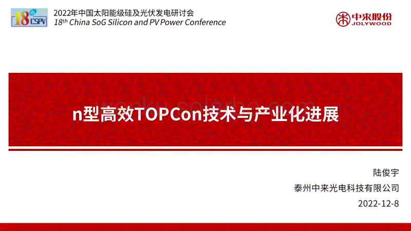 n型高效TOPCon技术与产业化进展.pdf