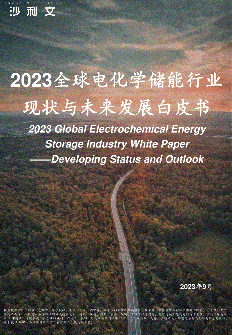 2023全球电化学储能行业现状与未来发展白皮书-沙利文咨询.pdf