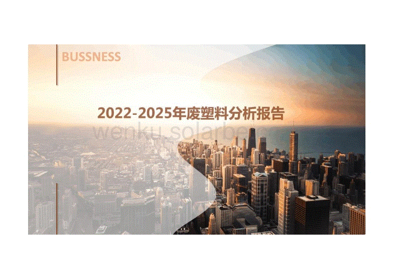 2022-2025年废塑料分析报告---BUSSNESS.pdf
