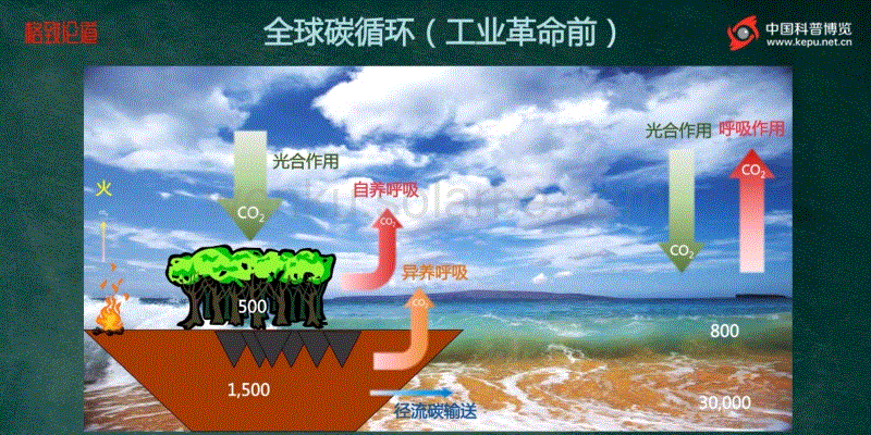 中国陆地生态系统碳汇现状及其潜力.pdf