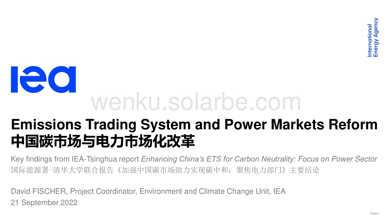 中国碳市场与电力市场化改革---IEA.pdf