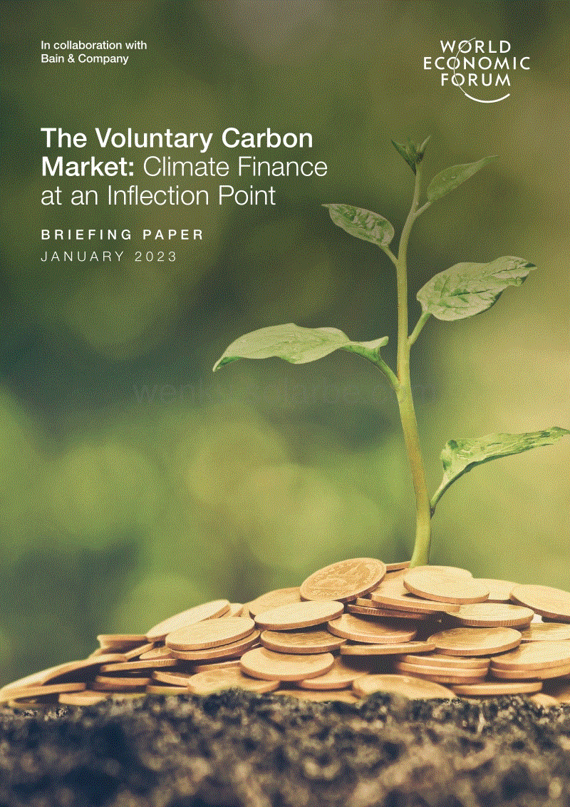 自愿碳市场：处于拐点的气候融资（英文版）---世界经济论坛.pdf