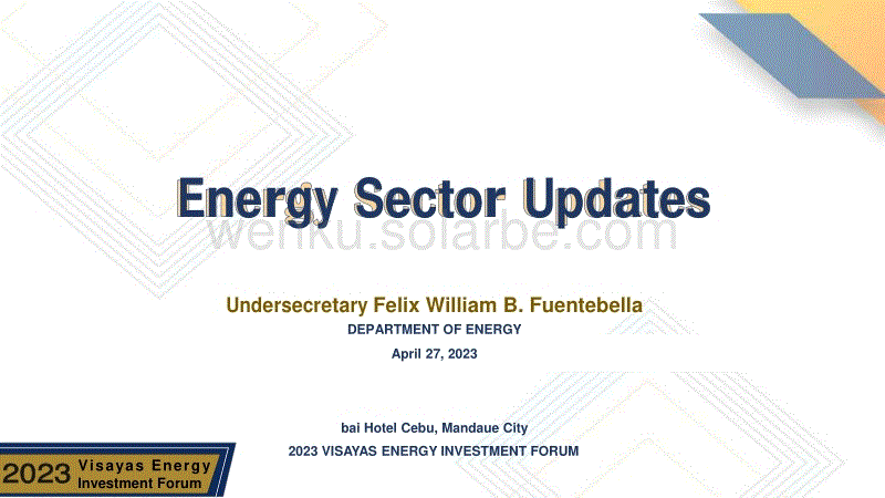 菲律宾能源市场报告（更新）（英文版）.pdf