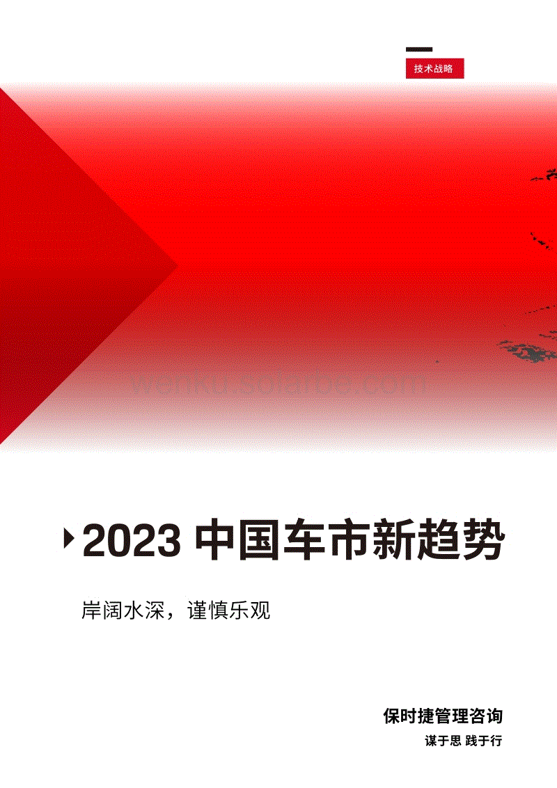 保时捷管理咨询：2023中国车市新趋势白皮书.pdf