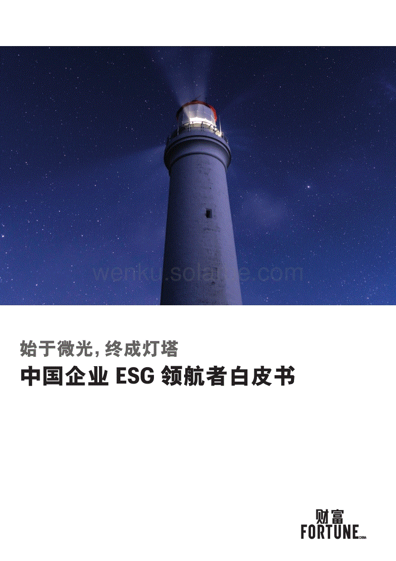 ZG企业ESG领航者白皮书--财富.pdf