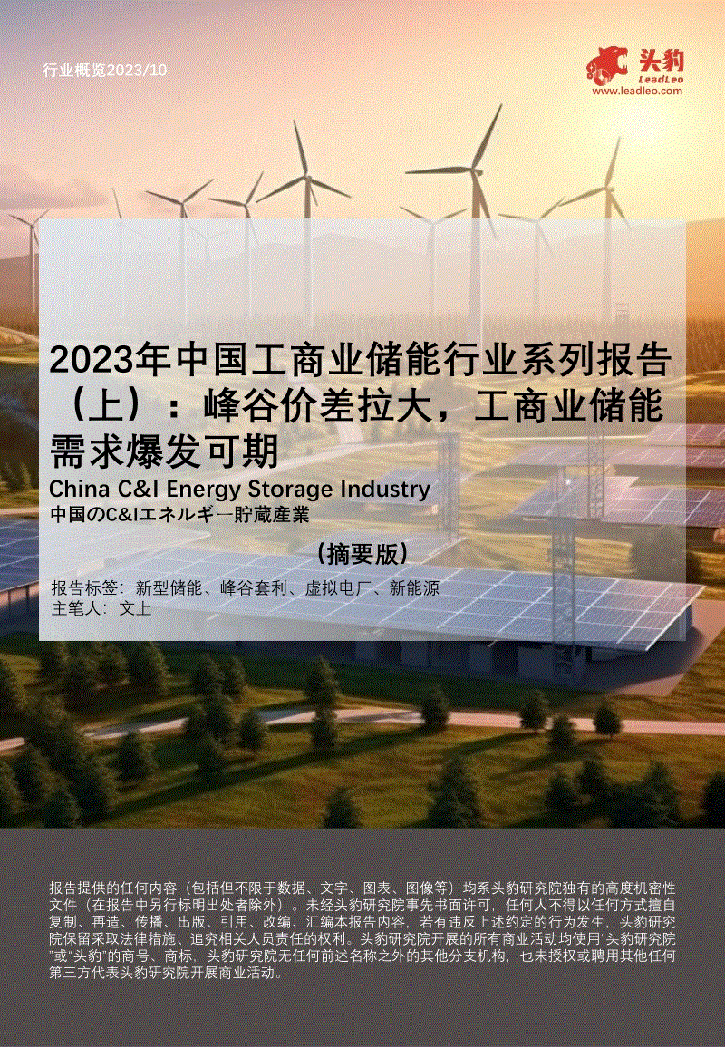 头豹：2023年中国工商业储能行业系列报告（上）-峰谷价差拉大，工商业储能需求爆发可期（摘要版）.pdf