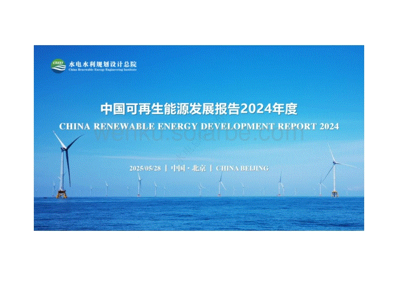 中国可再生能源发展报告2024年度